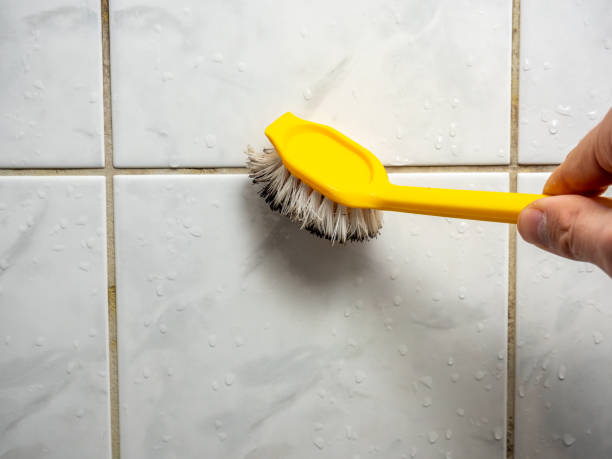 Best Preventive Mold Services in Ridge Manor, FL