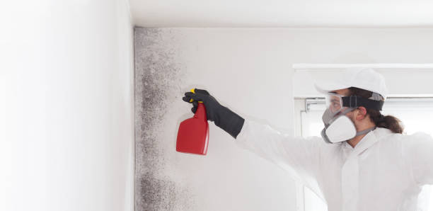 Best Post-Remediation Services in Ridge Manor, FL